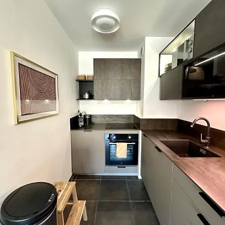 Luxury With Terrace Ac And Parking Antibes
